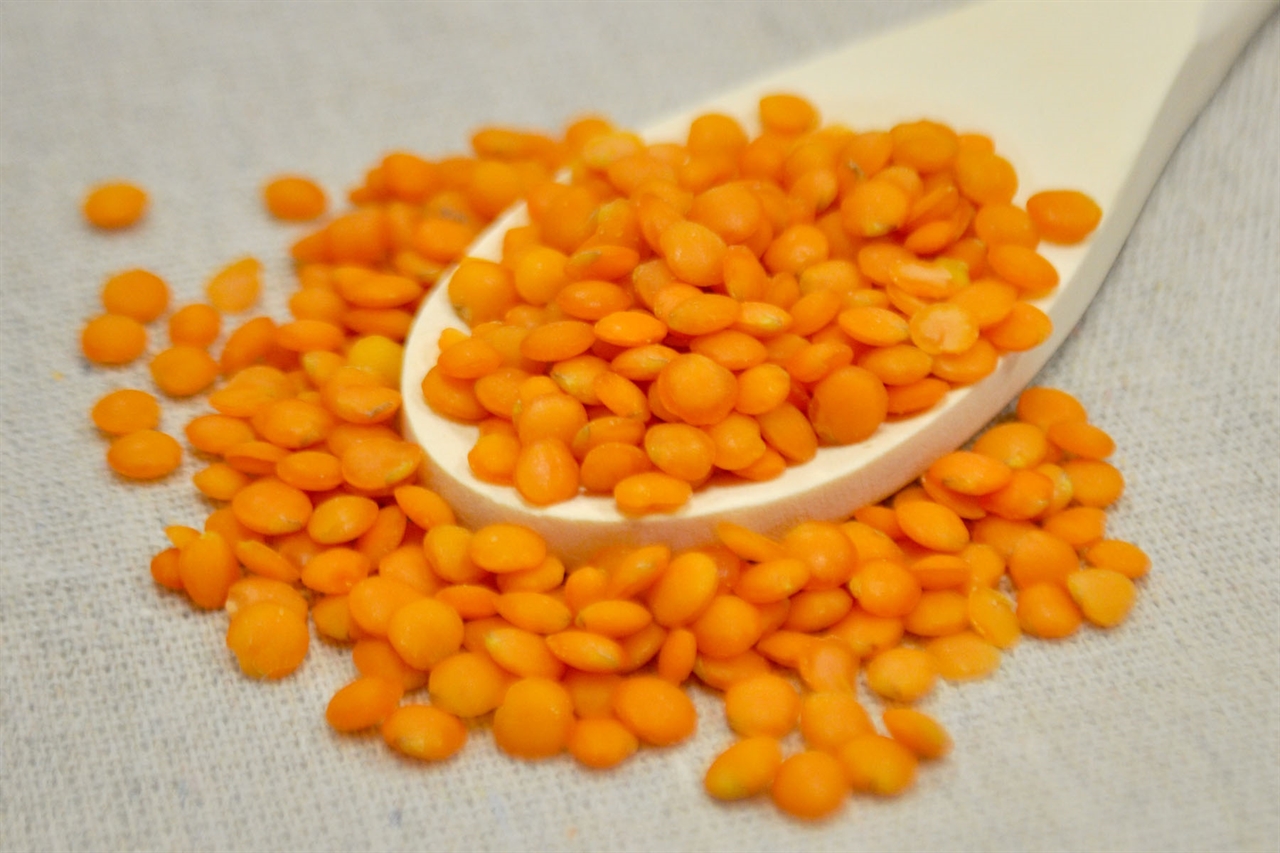 Wholesale Red Lentils sold in 25 pound containers.